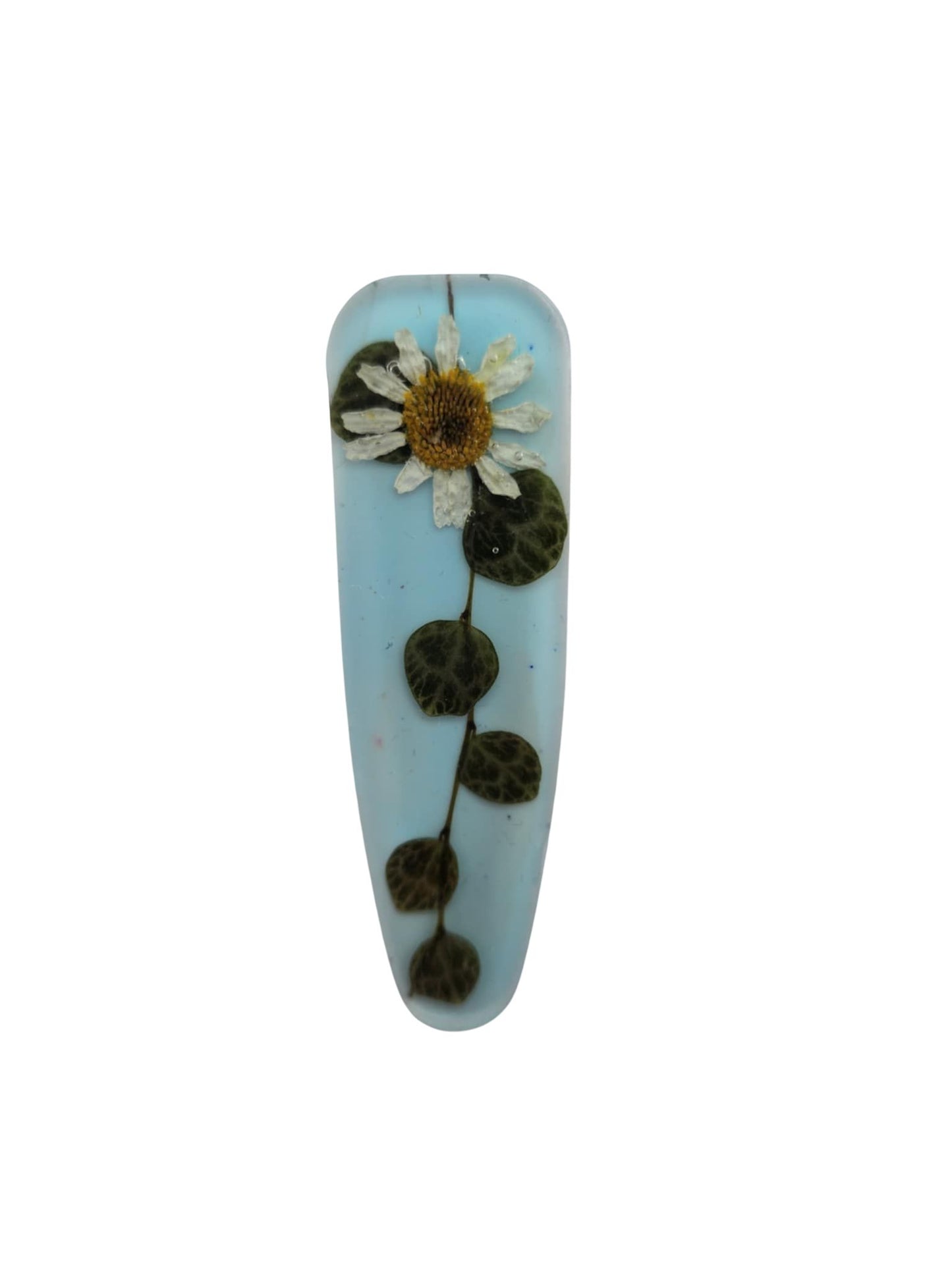 Daisy and fern on sky blue