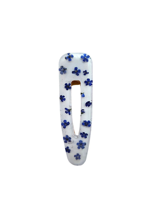 Forget me not blooms