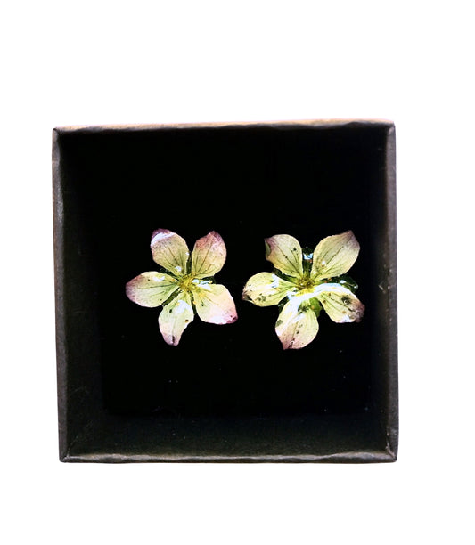 Blush Flora Earrings