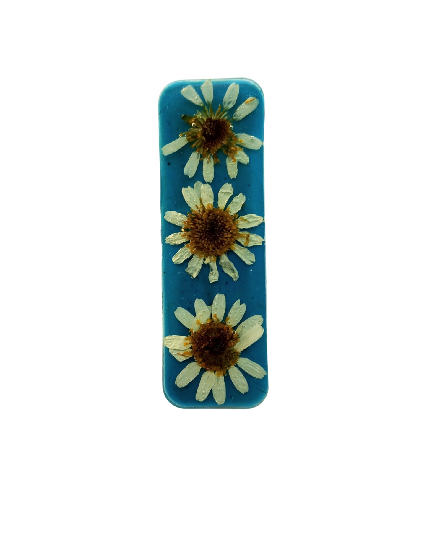 Blue Daisy