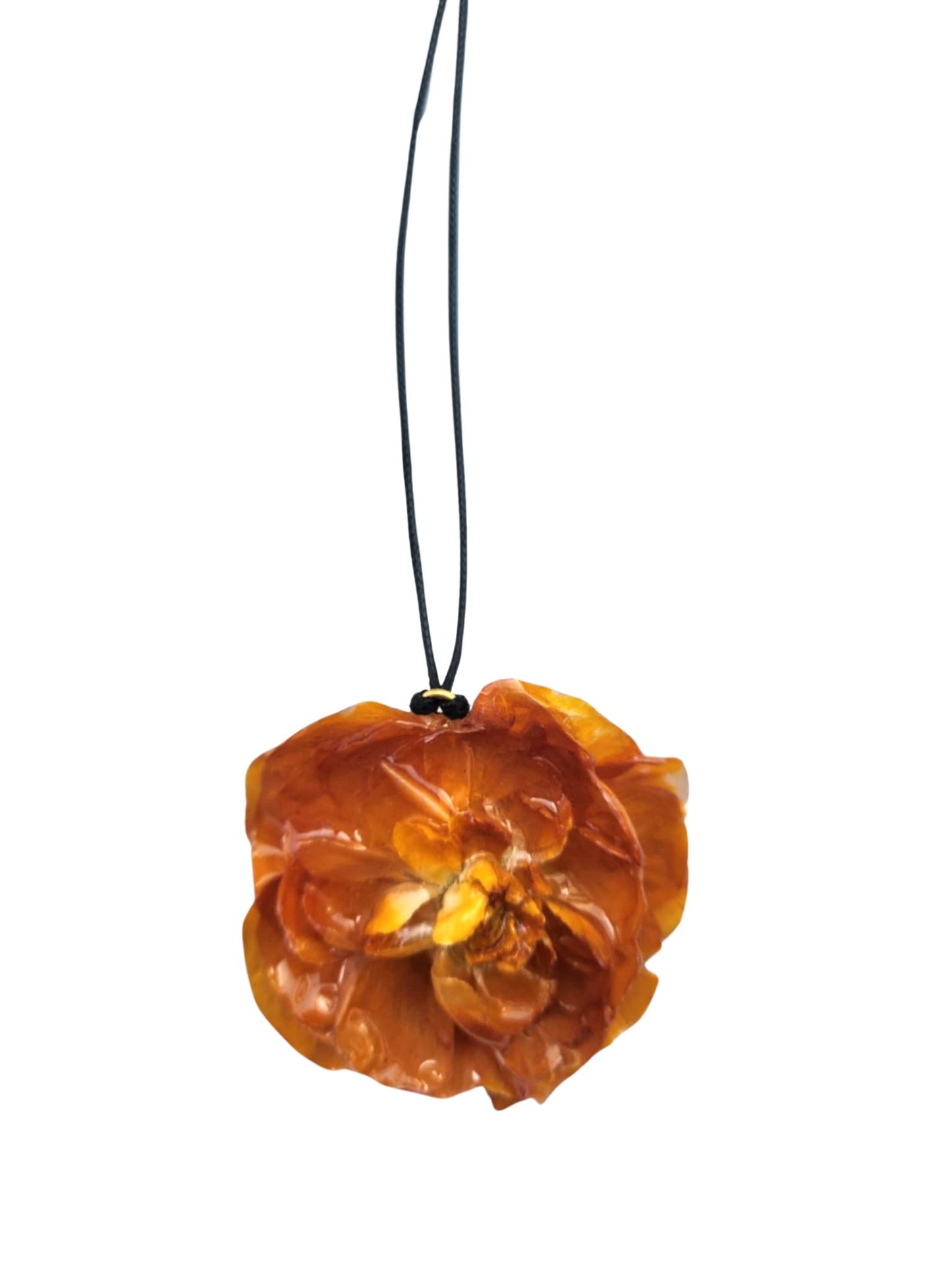Marigold bloom