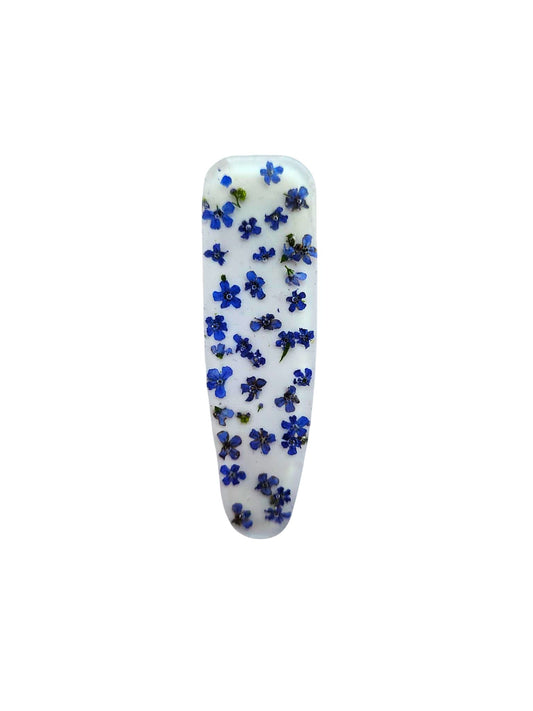 Forget me not blue on whiite